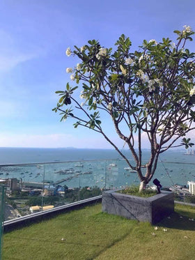 Unixx Condo South Pattaya on Pratumnak Hill, Condo for sales with Tenant thumbnail 10